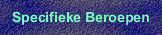 BA voor specifieke beroepen
